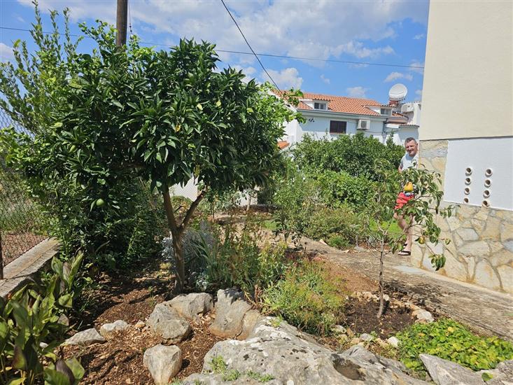 House Kućica uz more