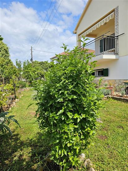 House Kućica uz more