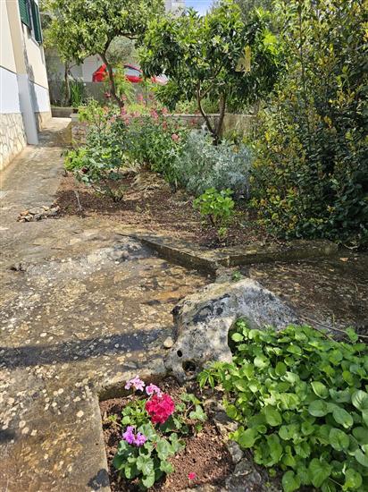 House Kućica uz more