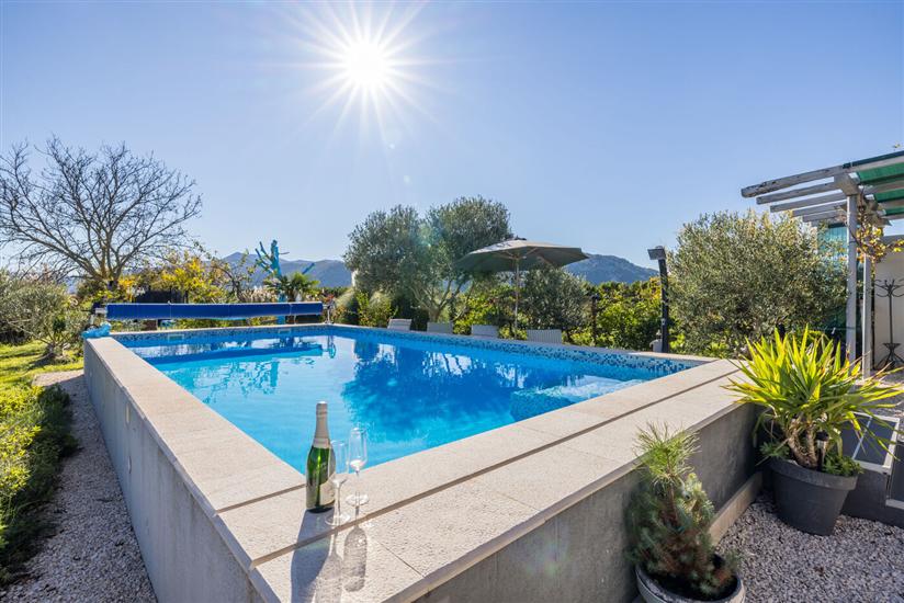 Apartments Holiday home Book