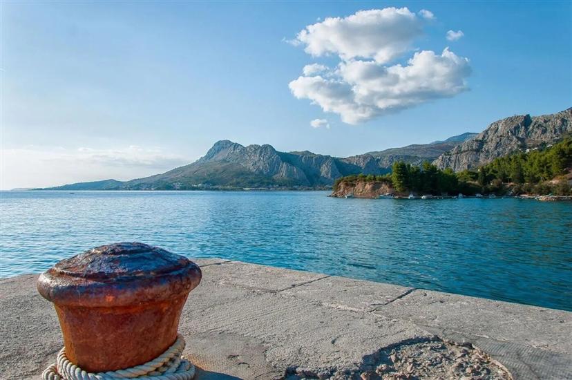 Apartmaji Pine & Sea