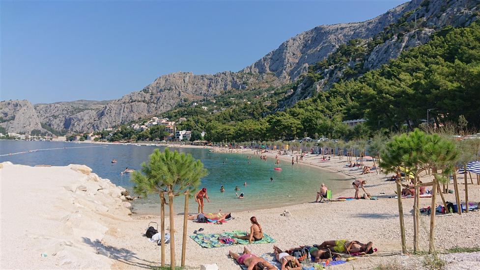 Apartments Pine & Sea