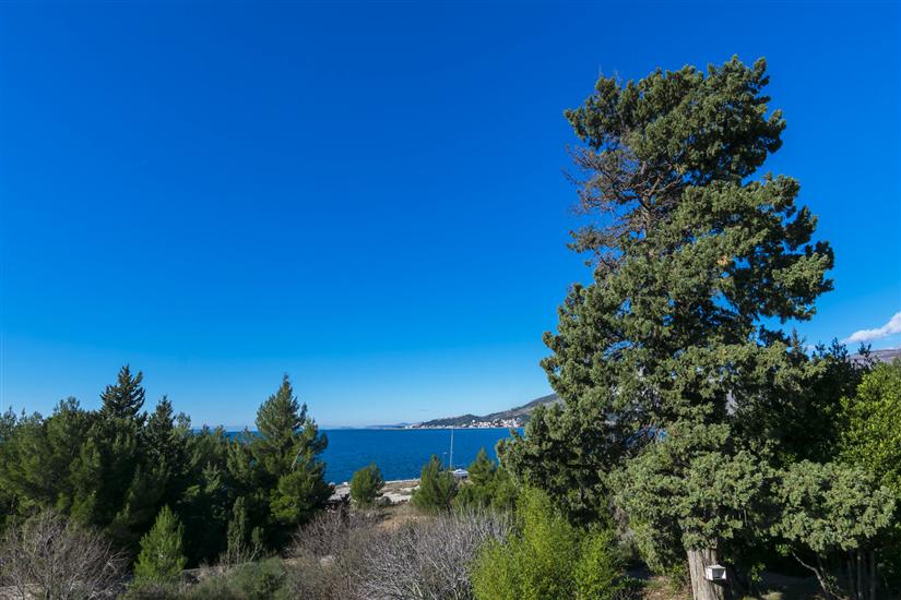 Apartments Pine and Sea