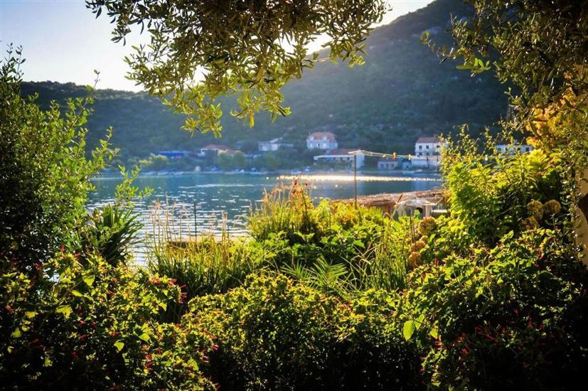 Апартаменты Seafront Oasis