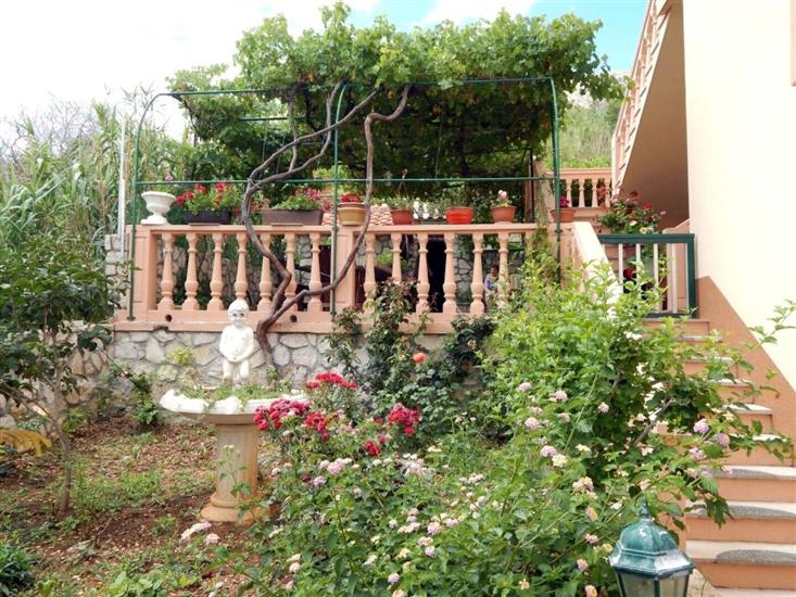 Apartments Crljenko with sea view