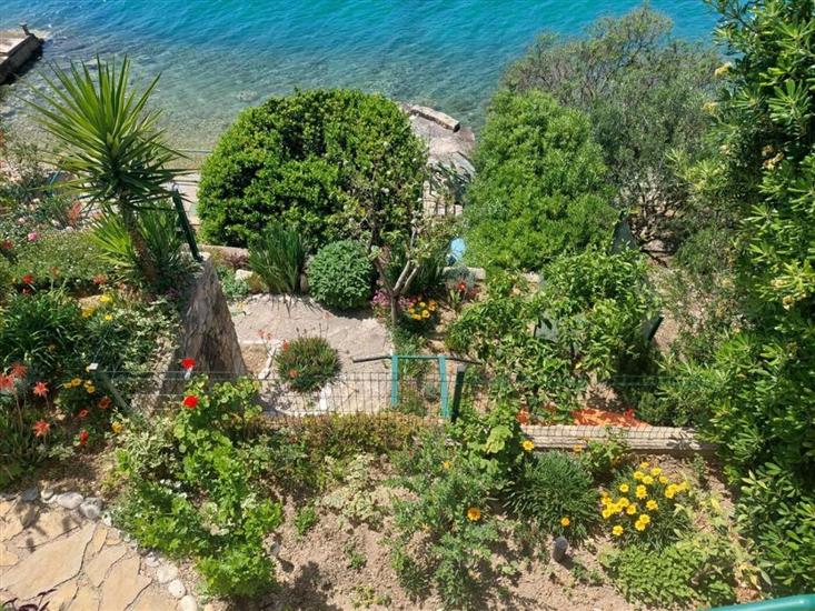 Ferienwohnung Garden by the Sea