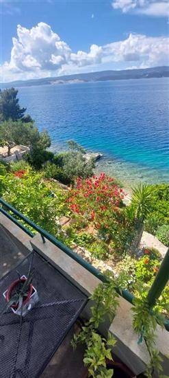 Apartment Garden by the Sea