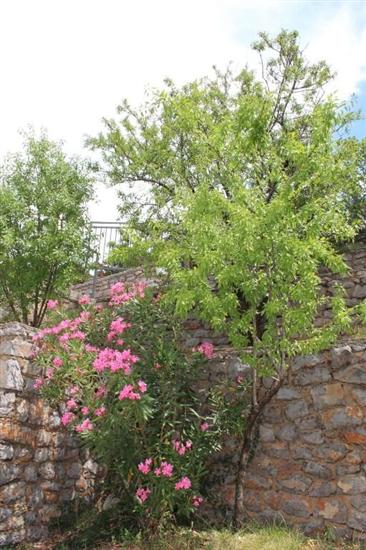 Apartman Blue Art Apartment