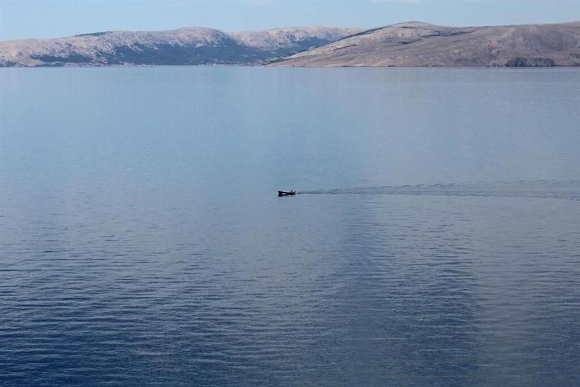 Apartman Blue Art Apartment