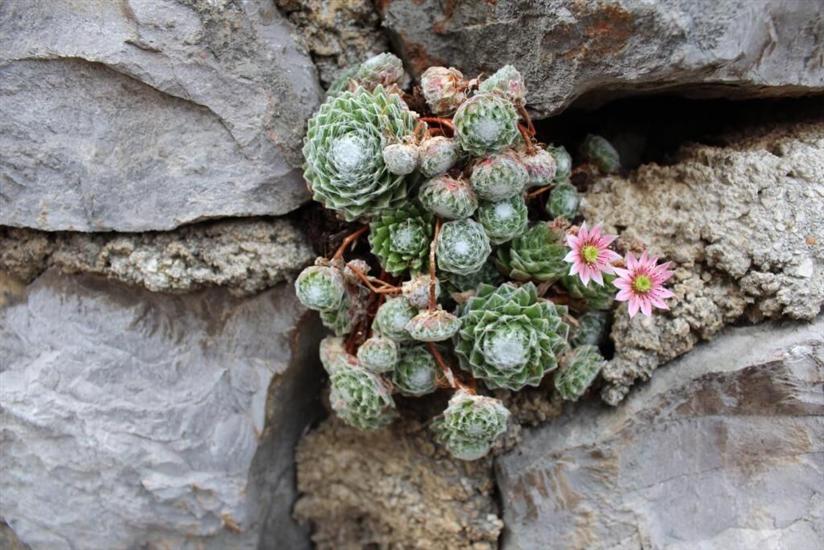 Apartment Blue Art Apartment