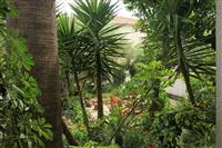 Apartman A1, na 5 osebe