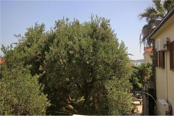 Apartman A4, na 4 osebe