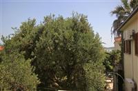 Apartman A4, na 4 osebe