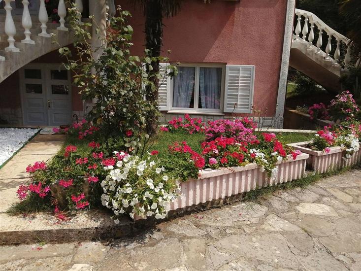 Апартамент Villa Zizi