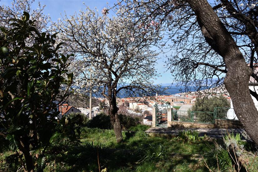 Apartments Nina i Harry