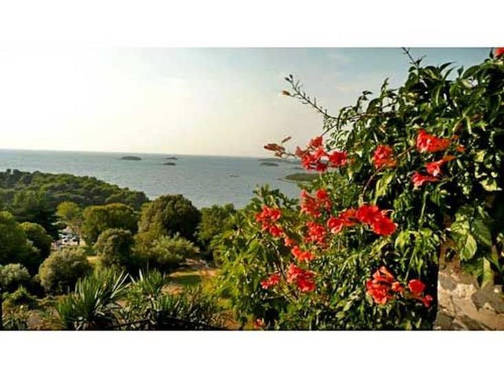 Apartments and Rooms Saša