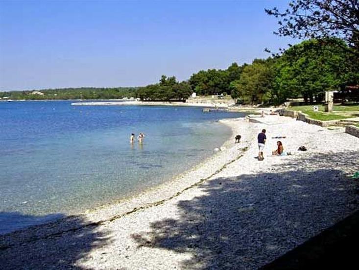 Apartments and Rooms Saša