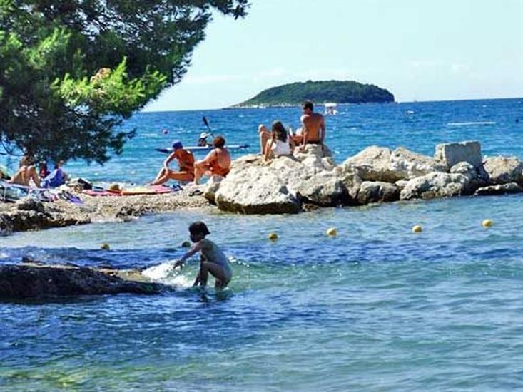 Apartments and Rooms Saša