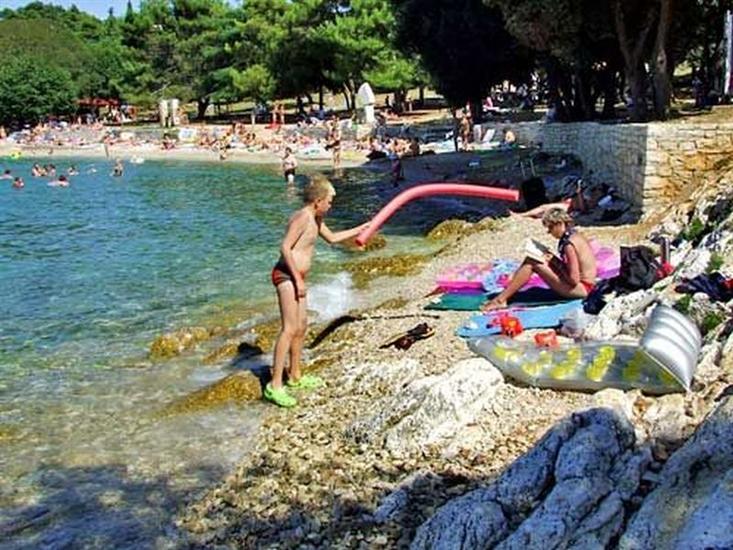 Apartments and Rooms Saša