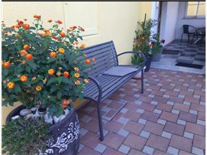 Accommodation with pool Green Istria,BookMiraFrom 388 €