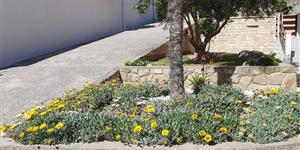 Apartment - Palit - island Rab