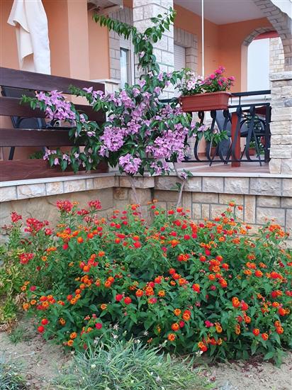 Apartments Andrija