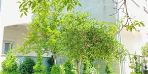 Apartment - Dramalj (Crikvenica)