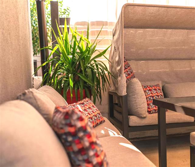 Villa Dalmatian Dream