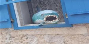 Apartment - Novalja - island Pag