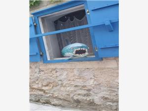 Apartment North Dalmatian islands,BookcentarFrom 114 €