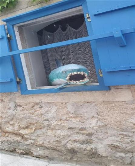 Apartment Zdravko near centar