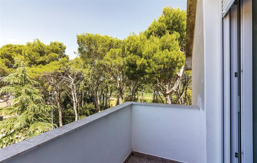 House Pineta Art Home