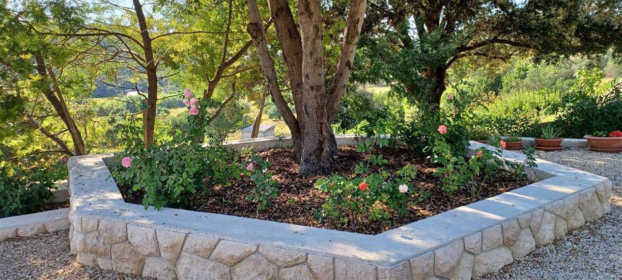 Apartments Cozy studios