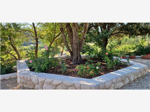 Apartment Kvarners islands,BookstudiosFrom 142 €