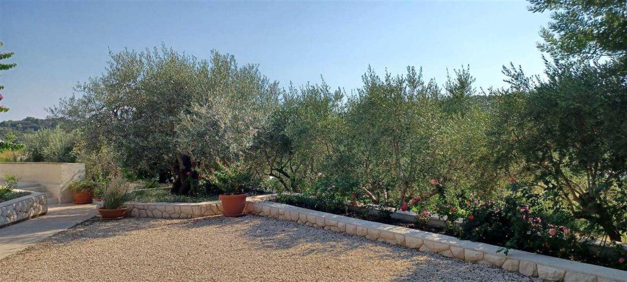 Apartments Cozy studios