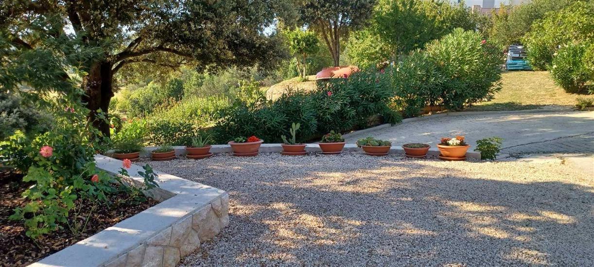 Apartments Cozy studios