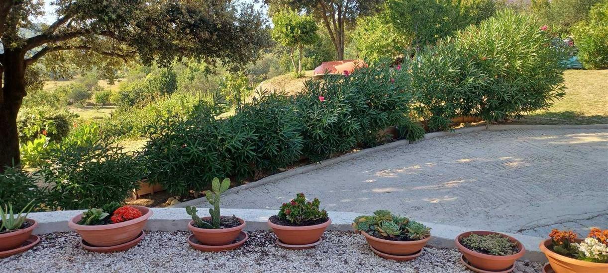 Apartments Renovated cozy studios