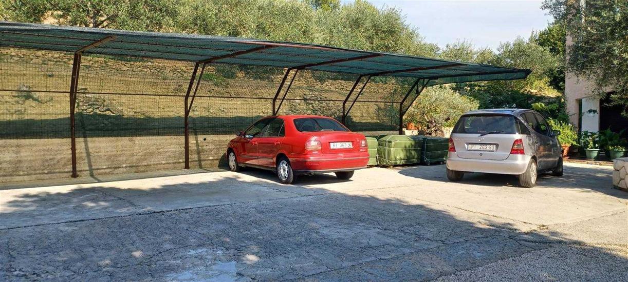 Apartments Renovated cozy studios