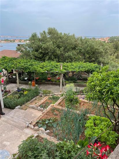 Apartmaj Maslina Sea View