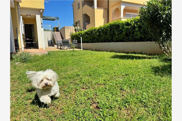 Apartman A1, na 4 osebe