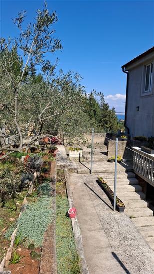 Apartmaj Maslina Sea View