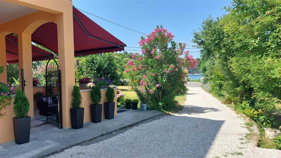 Apartment Near the sea