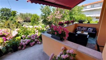 Appartement - Kampor - île de Rab