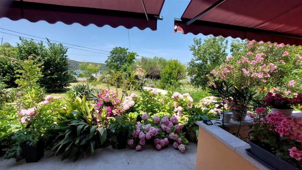 Apartment Near the sea