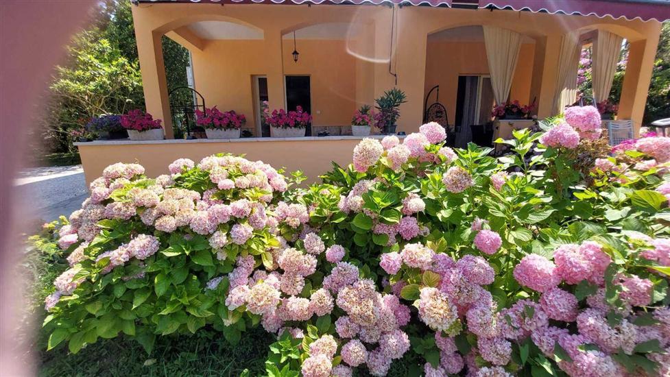 Apartment Near the sea