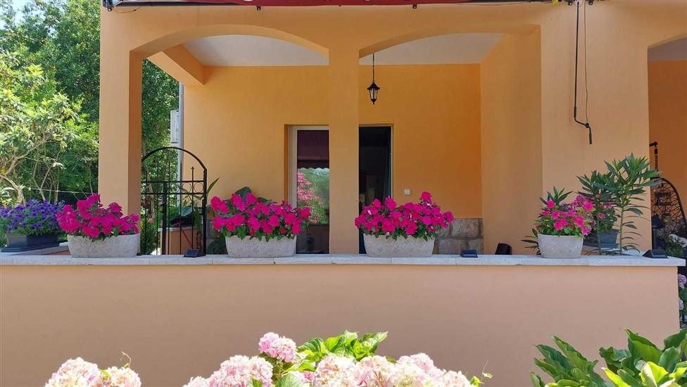 Apartment Near the sea