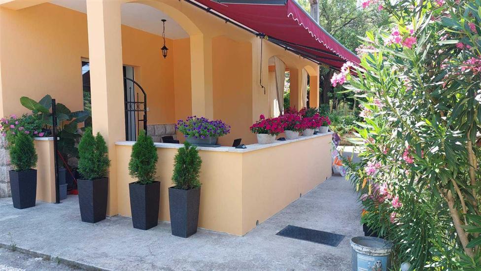 Apartment Near the sea