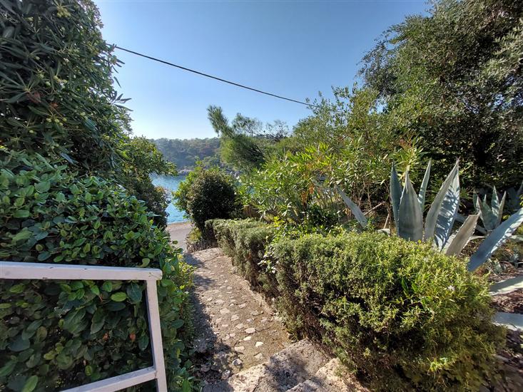 Apartman A1, na 5 osebe