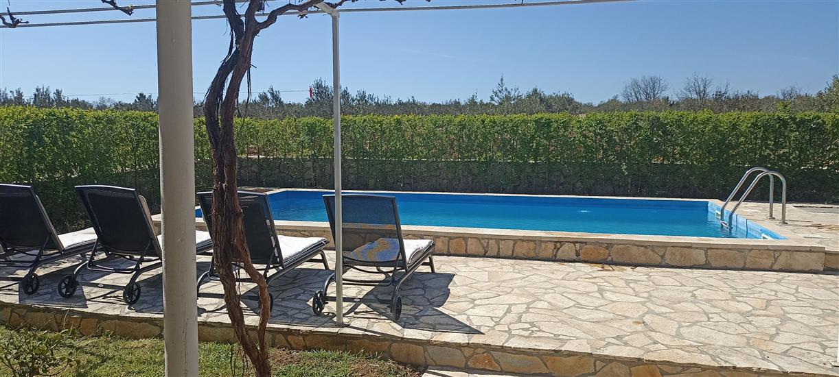 Hiša Stone Curlew 6