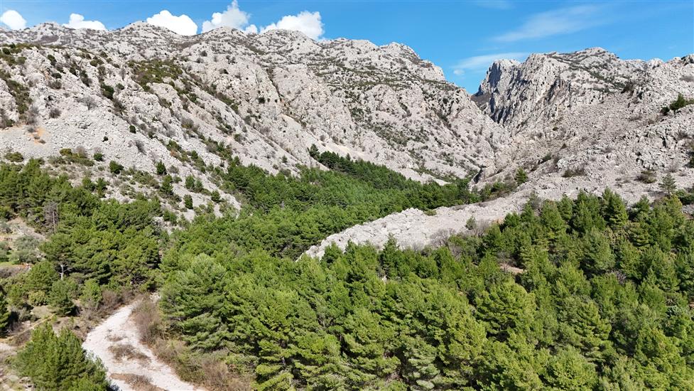 Apartmaji Stay near Paklenica